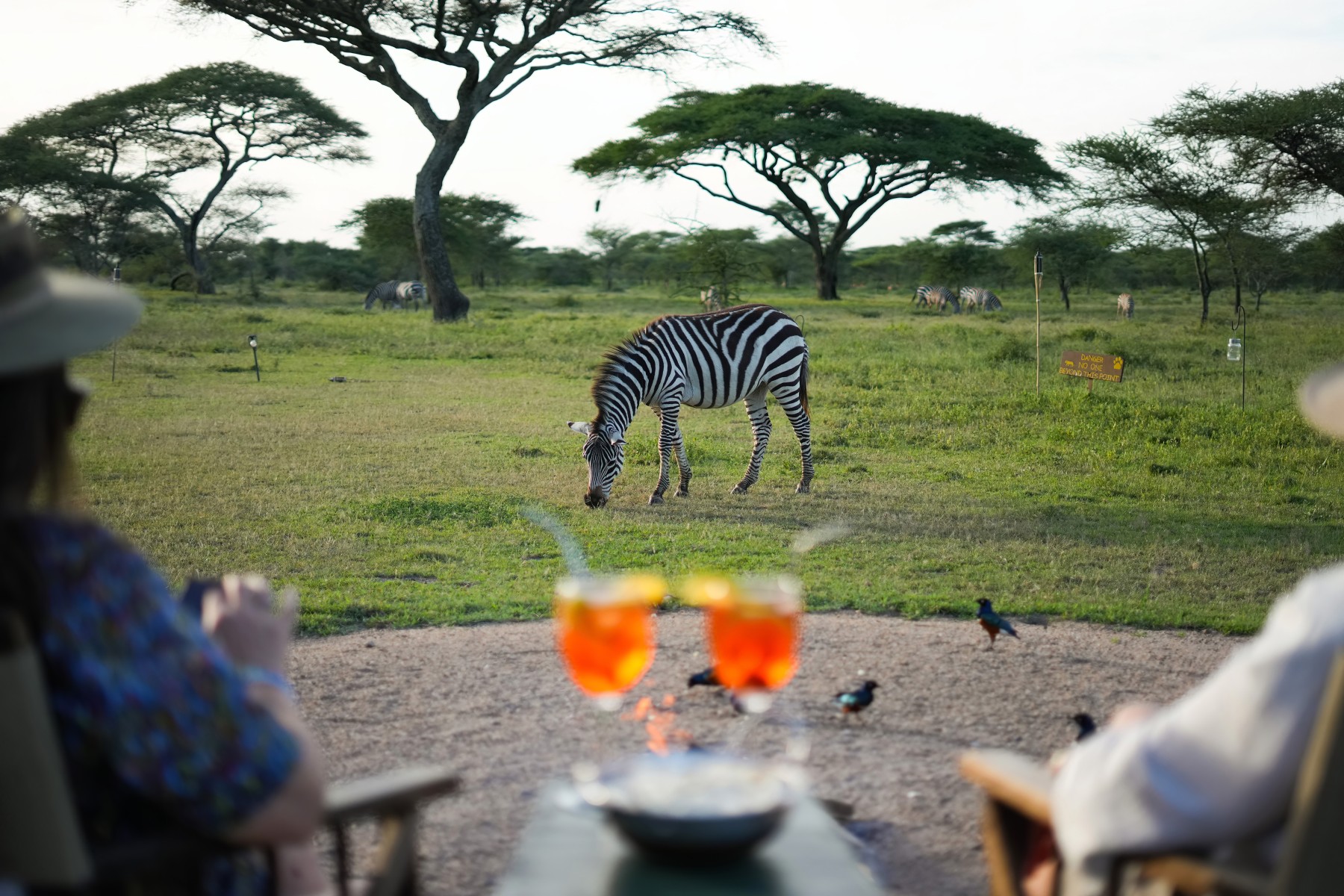 Ndutu Safari Lodge